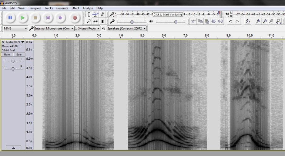 spectrogram of voice